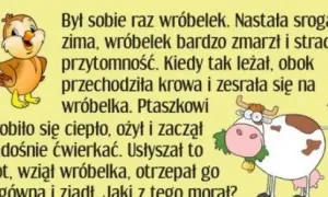 Dowcip o wróbelku: Morały, humor i ponadczasowa lekcja życia