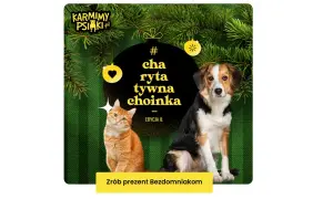Karmimy Psiaki: Jak codzienne kliknięcie ratuje zwierzęta?