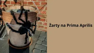 Duży, pluszowy pająk na doniczce z kwiatami, ozdobiony sztuczną pajęczyną. Idealny, fajny żart na prima aprilis, by przestraszyć domowników!