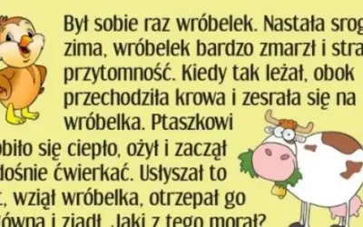 Dowcip o wróbelku: Morały, humor i ponadczasowa lekcja życia