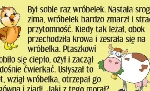 Dowcip o wróbelku: Morały, humor i ponadczasowa lekcja życia