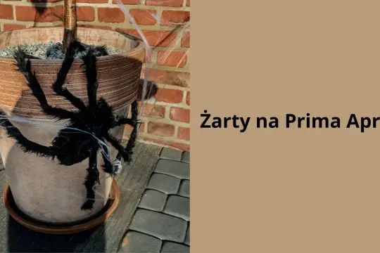 Duży, pluszowy pająk na doniczce z kwiatami, ozdobiony sztuczną pajęczyną. Idealny, fajny żart na prima aprilis, by przestraszyć domowników!