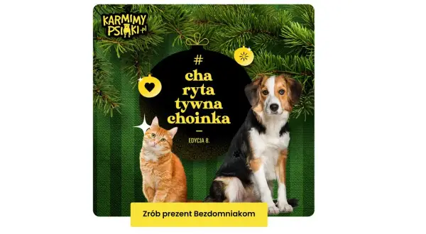 Karmimy Psiaki: Jak codzienne kliknięcie ratuje zwierzęta?