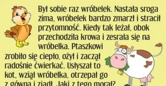 Dowcip o wróbelku: Morały, humor i ponadczasowa lekcja życia