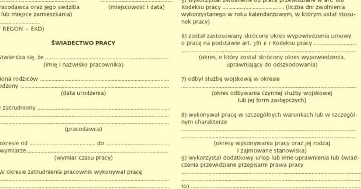Zdjęcie Brak świadectwa pracy? Poznaj swoje prawa i kroki działania
