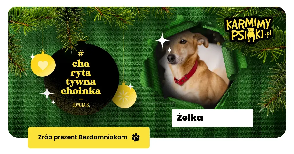 Zdjęcie Karmimy Psiaki: Jak codzienne kliknięcie ratuje zwierzęta?