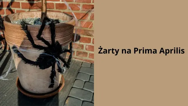 Duży, pluszowy pająk na doniczce z kwiatami, ozdobiony sztuczną pajęczyną. Idealny, fajny żart na prima aprilis, by przestraszyć domowników!